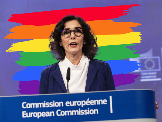 Dall’Europa 3,6 miliardi per l’Agenda Gender: ecco i dettagli della Strategia Lgbt 2026-2030 1