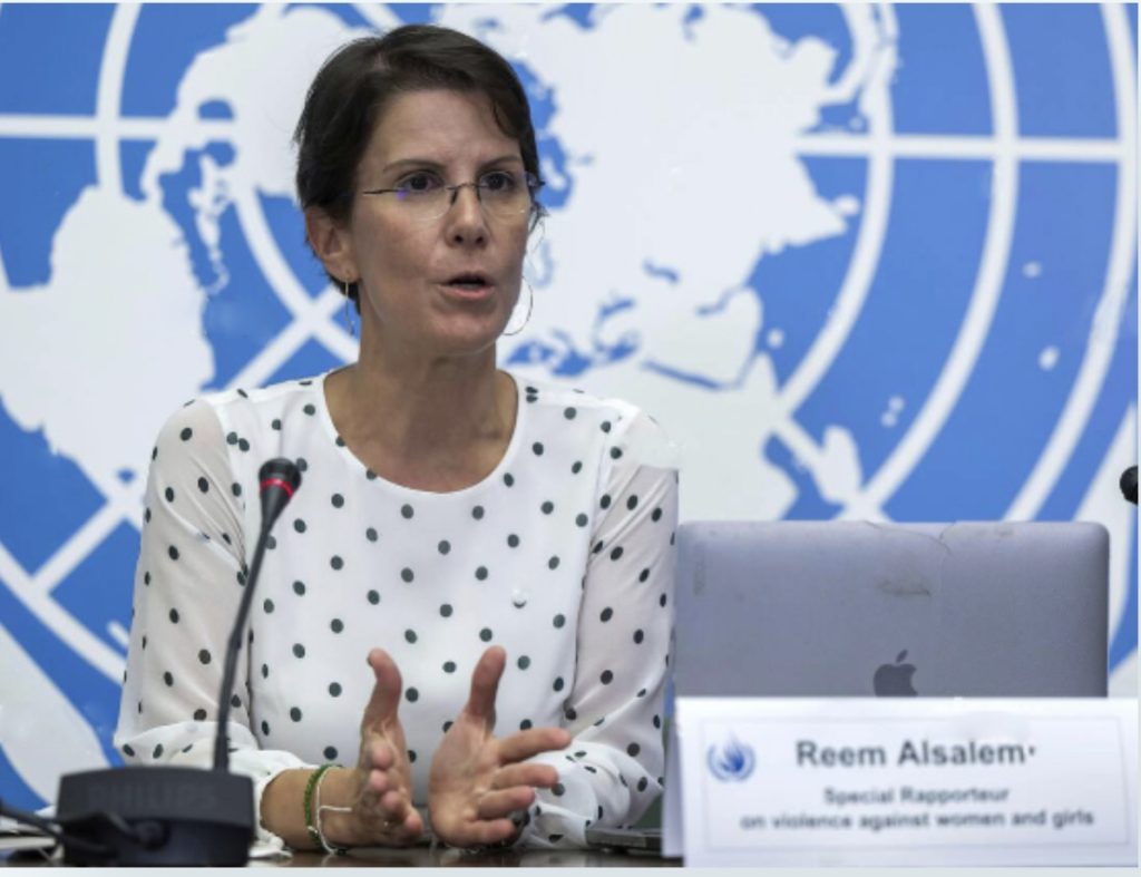 Dibattito all’Onu sull’utero in affitto: ecco cosa è stato detto 1