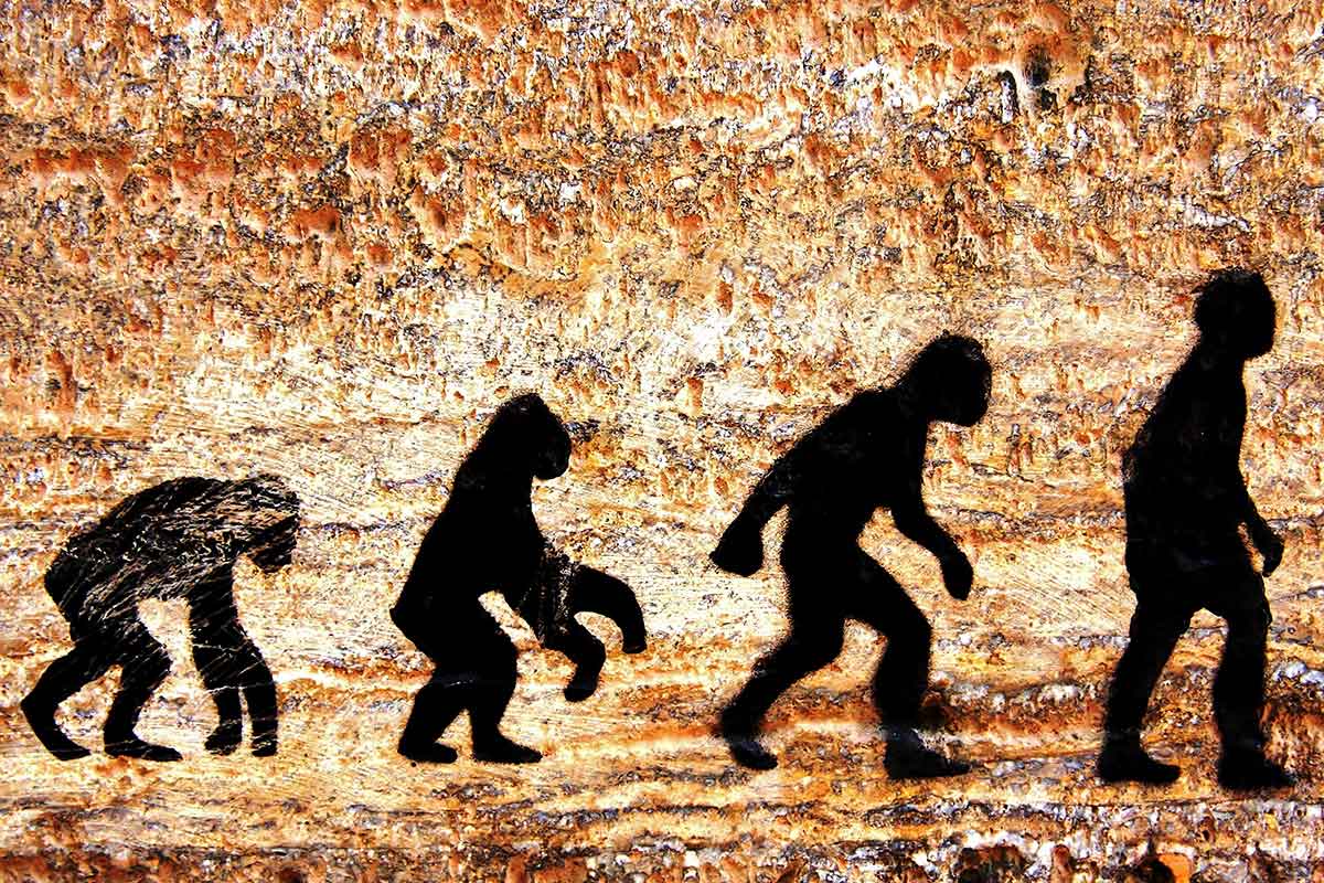L'uomo viene dalla scimmia? Scoppia la Balla! 1