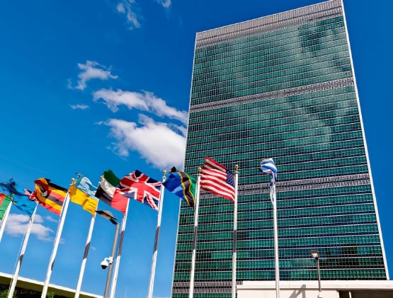 ONU: l'Italia ha votato sì alla CSW70. Ecco cosa ha approvato in silenzio 1