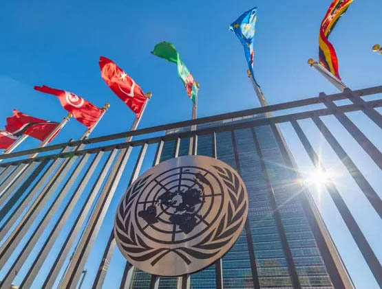 ONU. L'Italia ha votato per seppellire la definizione biologica di genere. Ecco cosa è successo alla CSW70 1