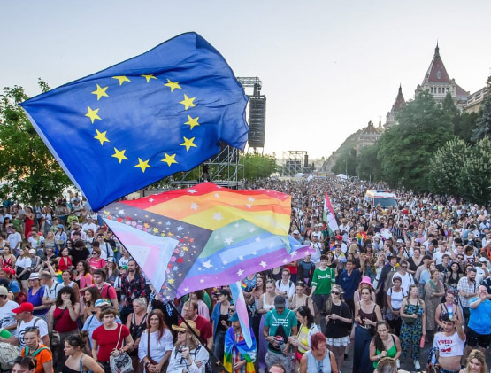 Propaganda arcobaleno ai minori. L’UE sta dalla parte degli Lgbt 1
