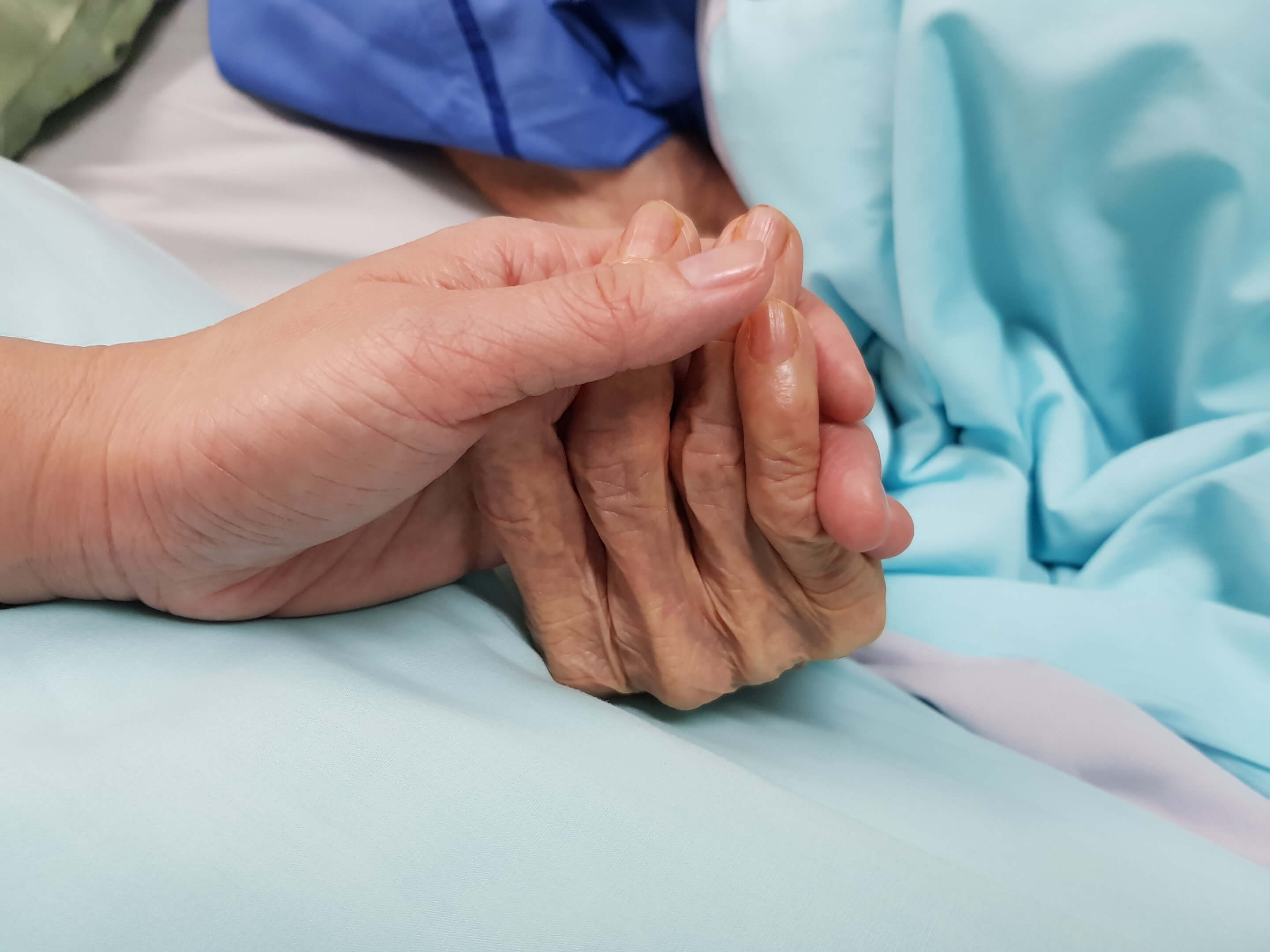 Fine Vita. Pro Vita: Forza Italia infanga memoria Berlusconi. Non è più partito “moderato” 1