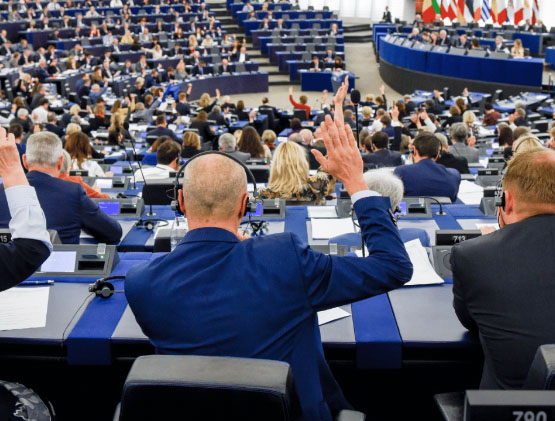 Europa. Pro Vita: UE impone aborto e ddl Zan agli Stati. Governo italiano si opponga 1