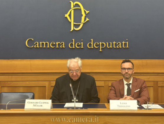 Libertà d’espressione. Il cardinale Muller: «gender è culmine “democrazia totalitaria”» 1