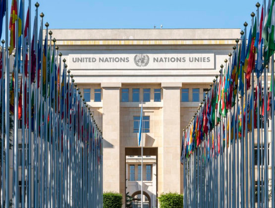 L’Italia appoggia documento ONU contro matrimoni forzati ma che promuove educazione sessuale e aborto 1