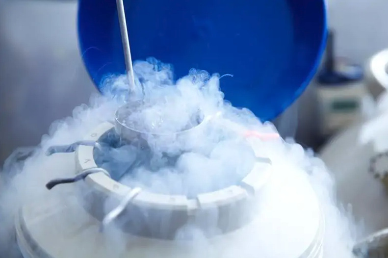 Le fughe in avanti delle Regioni sul social freezing. Ma a essere congelata è la coscienza della politica 1