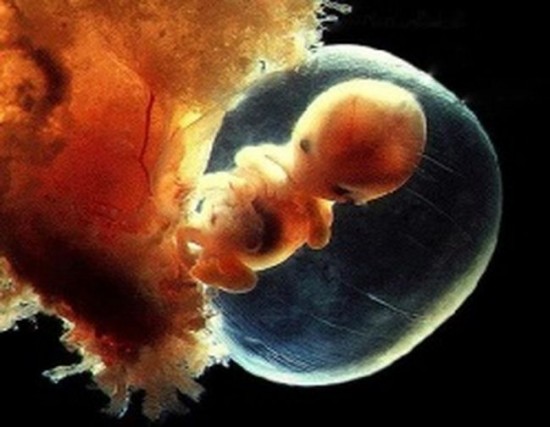 embrione_embrioni_concepimento_persona_aborto_bambino