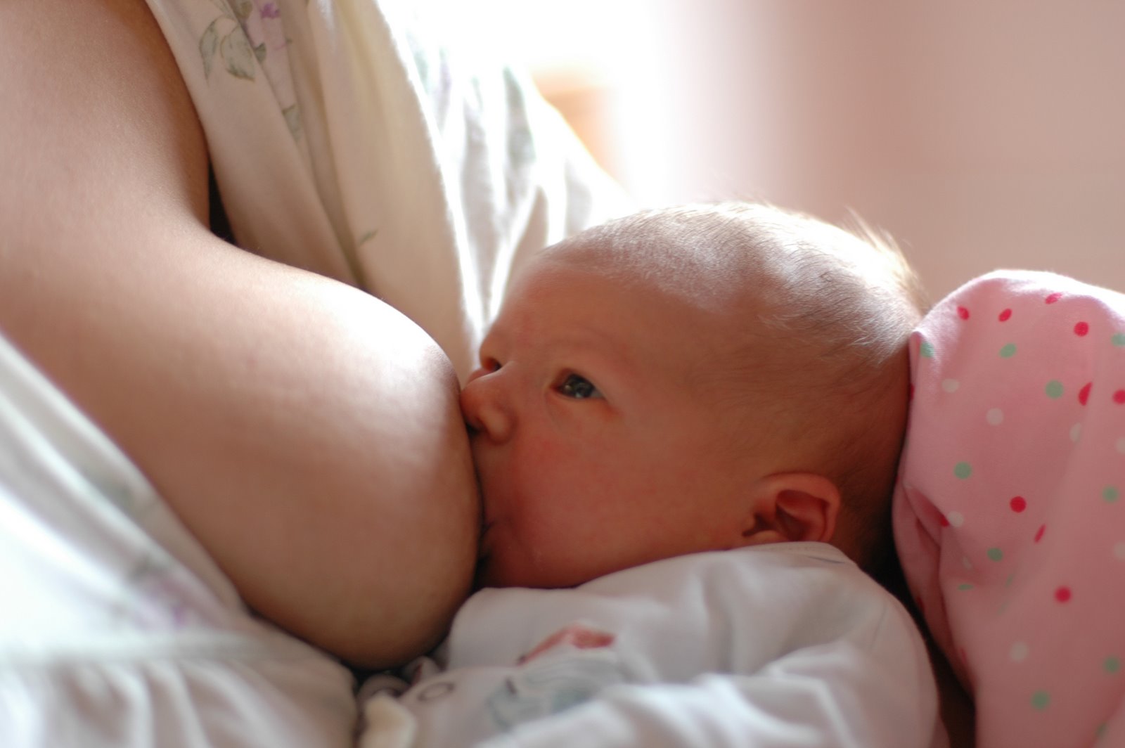 Aborto, cancro, libertà 1