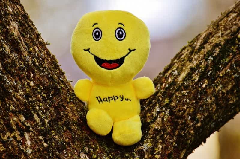 Buona-Notizia_smile_happy_sorriso_notizia_albero_felice