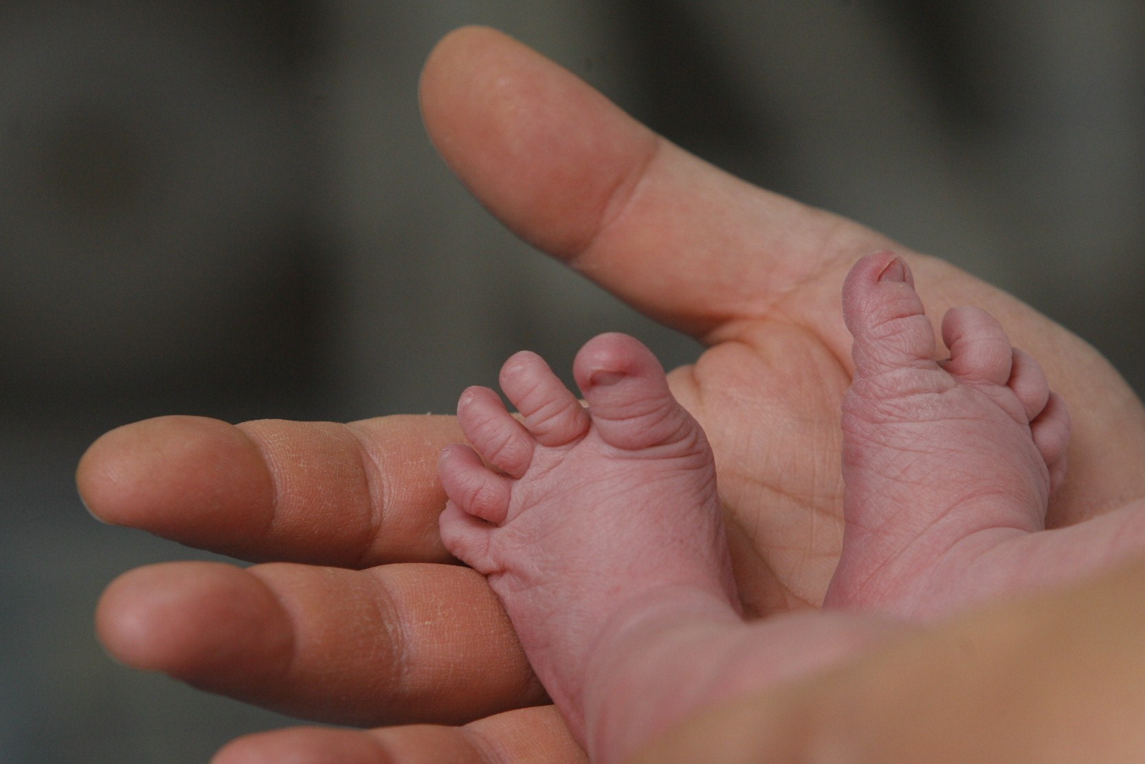 Il tribunale voleva l’aborto forzato per la figlia della disabile. Poi è nata Cierra Marie, «sana e bella» 1
