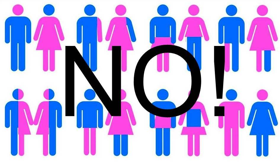 “Legge sull’omofobia e ideologia del gender: quali ricadute su famiglia e società?” 1