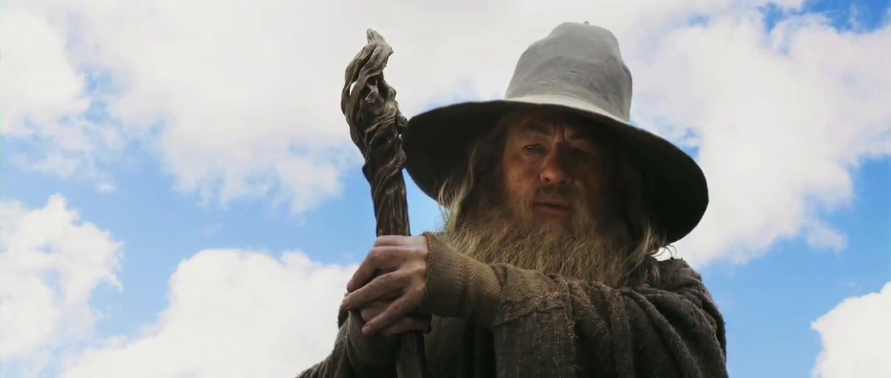 Il 20 giugno, con Gandalf, per difendere la famiglia e la ragione 1