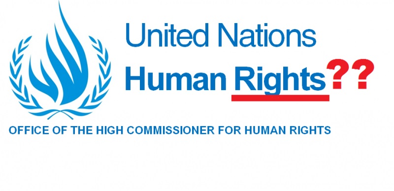 OHCHR_logo_diritti umani_aborto