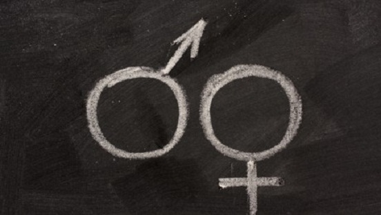 Gender nelle scuole: il disegno di legge Fedeli 1