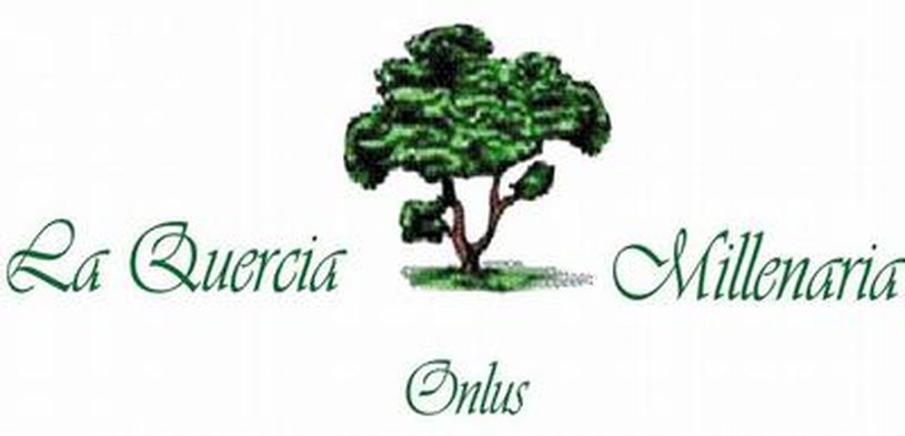 Intervista a Sabrina Paluzzi, fondatrice della Quercia Millenaria 1