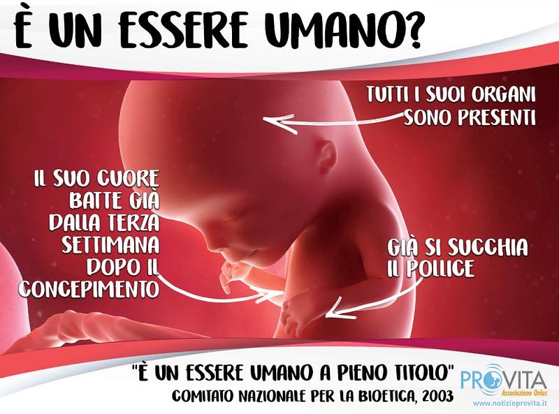 Vela_7_aborto_bambino