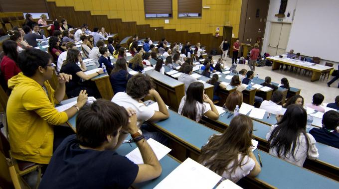 Gender, università