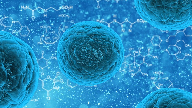 In UK fecondazione triparentale: si arriverà alla clonazione? 1