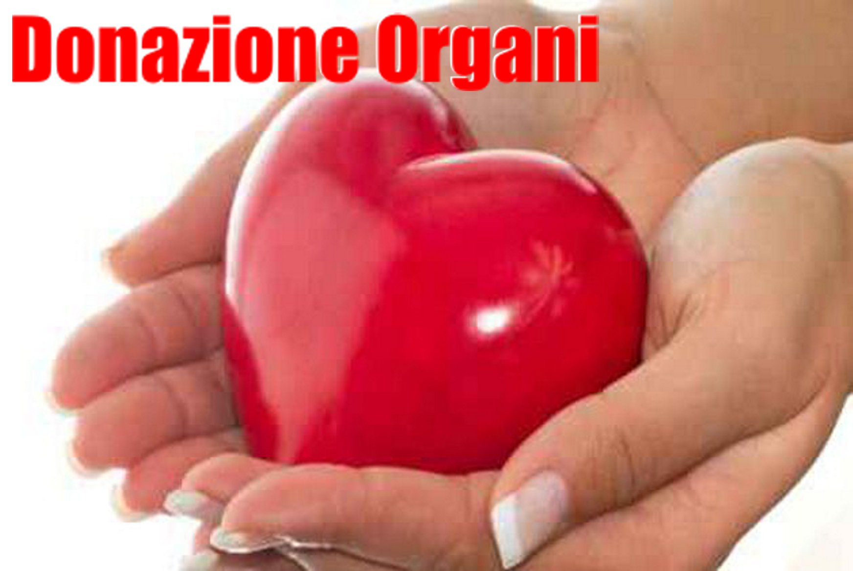 donazione_organi_pro