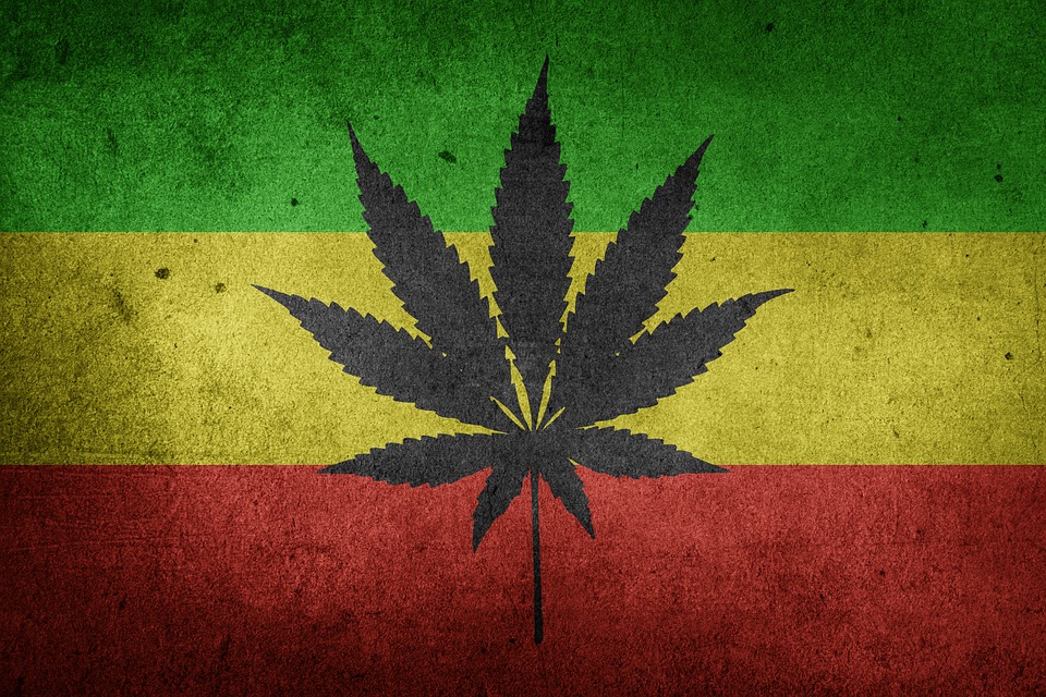 droga_marijuana_cannabis_droga-leggera