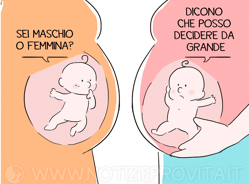 gender_nascituro_sesso_