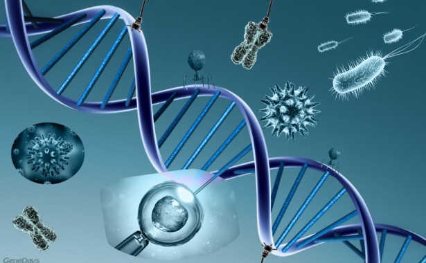 Che cos'è l’uomo perchè te ne ricordi? Genetica e Natura umana nello sguardo di Jérome Lejeune 1