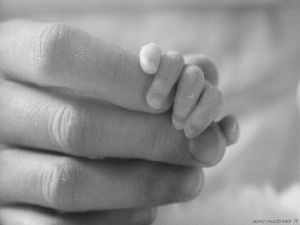 Pacifici abortisti 1