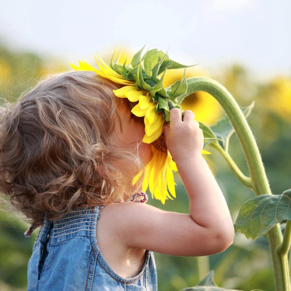 Promuovere la vita e la famiglia senza combatterne i nemici, anzi assieme a loro? 1