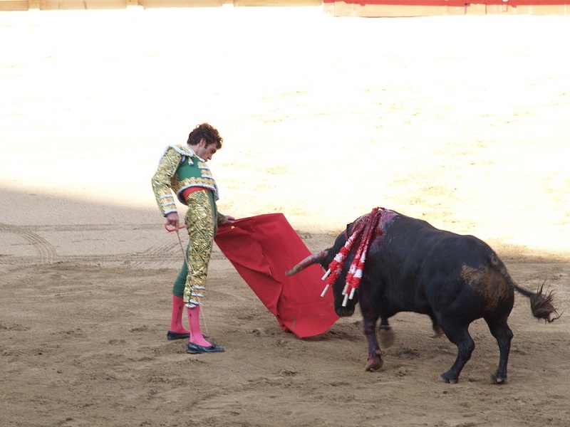 torero_animalismo