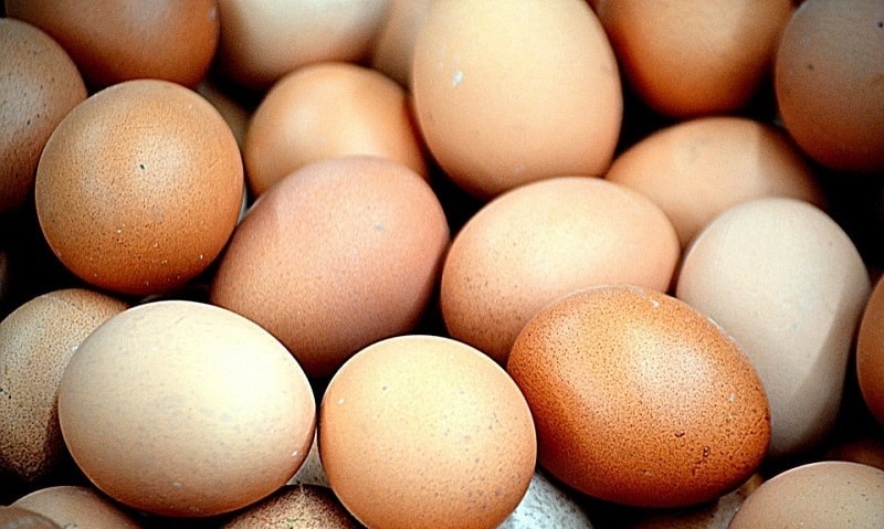 Fecondazione artificiale: mercato delle galline dalle uova d’oro 1