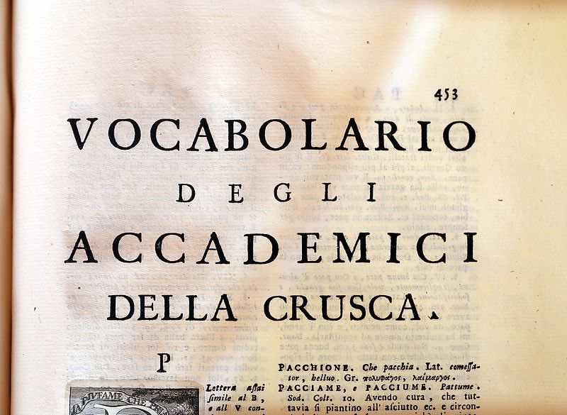 vocabolario_parola_vagina